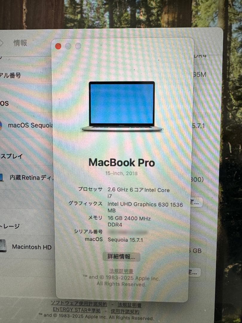 MacBook Pro 15インチ 2018 / Core i7 / 512GB