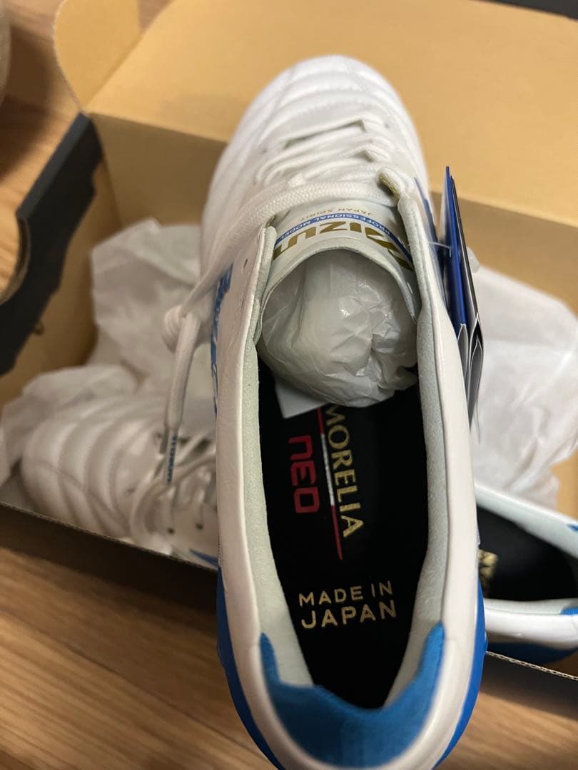 モレリアネオⅣ