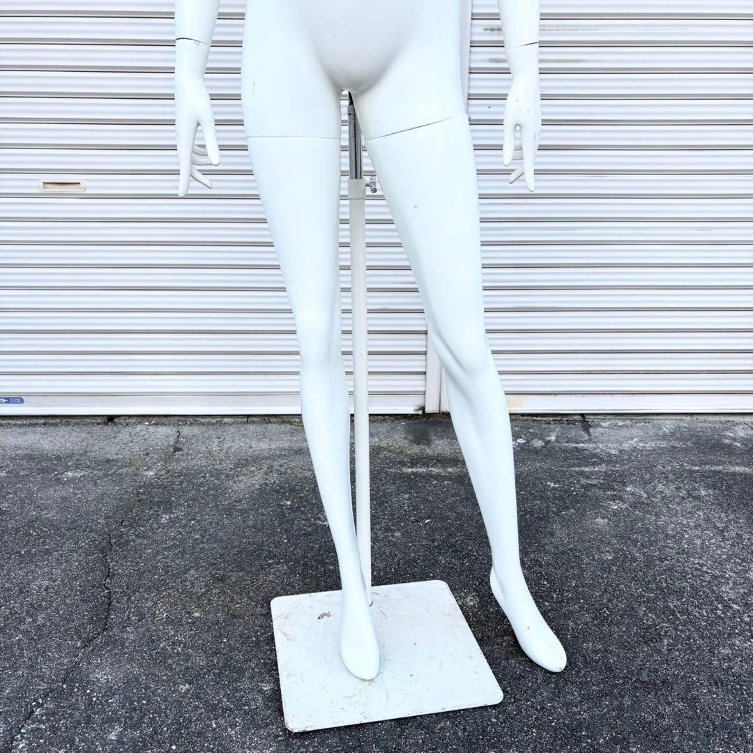 パールイデア パール マネキン 全身 トルソー レディース