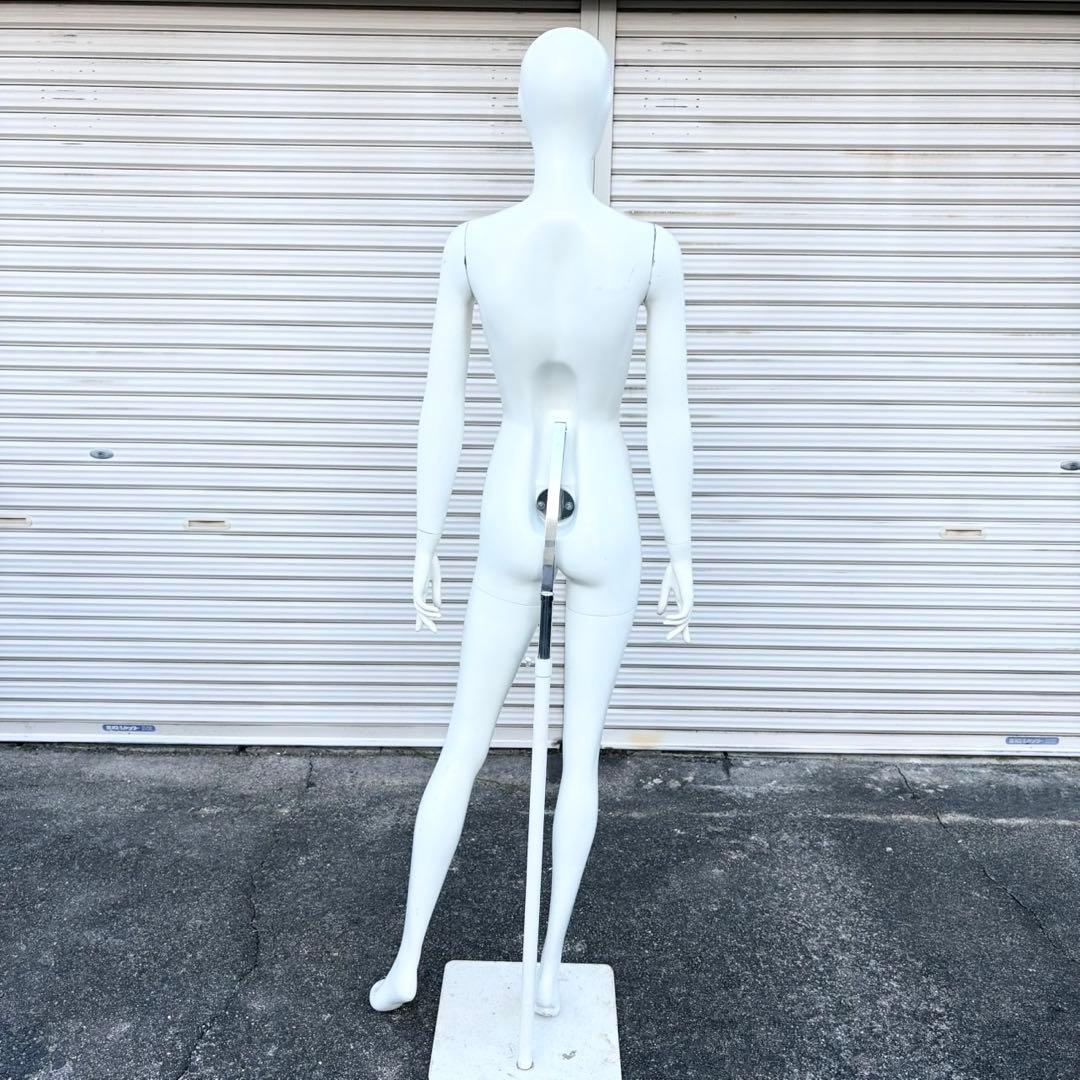 パールイデア パール マネキン 全身 トルソー レディース