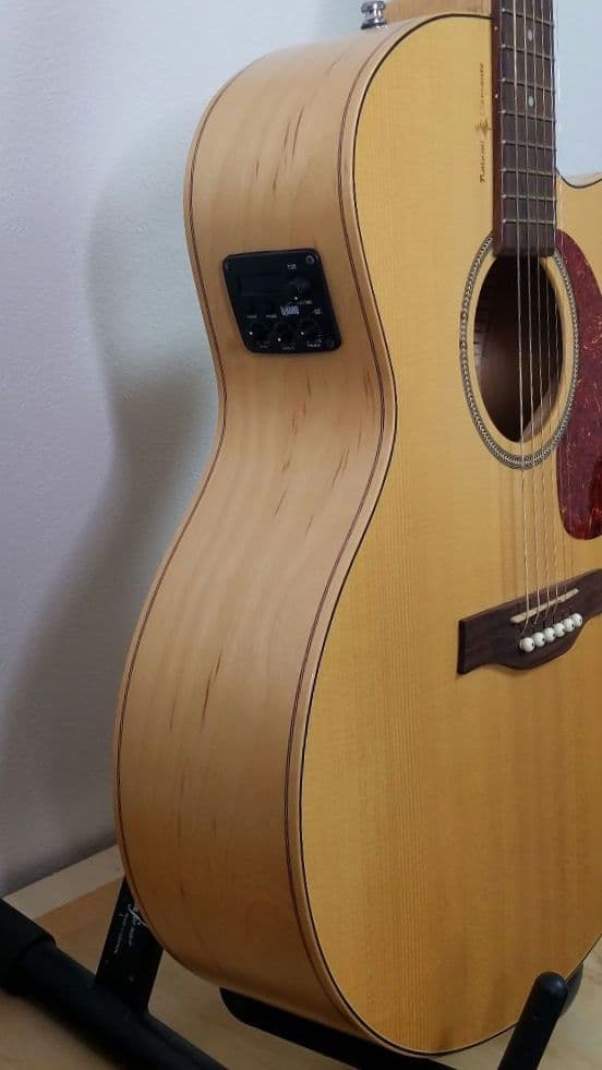 Seagull エレアコ ギター ハードケース入り