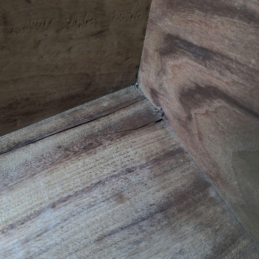 昭和レトロ 旅館トランク 樟木 防虫 木製収納箱 店舗什器 古道具