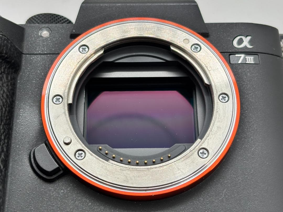 【年末年始特価】ソニー SONY α7 III ボディ ILCE-7M3