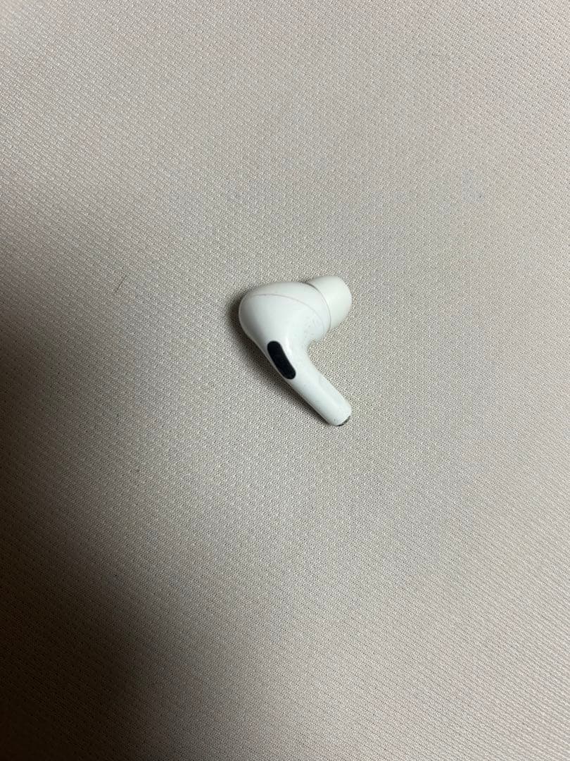 AirPods Pro 本体 + レザーケース