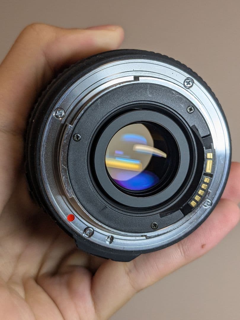 SIGMA 24-60mm 1:2.8 EX DG Canon EF フード付き