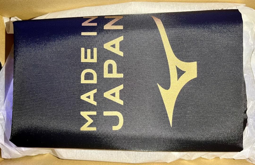 22cm 新品 ミズノ モレリア NEO 4 JAPAN P1GA243025