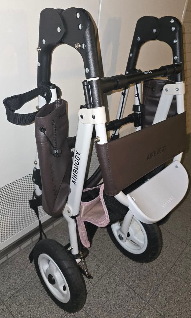 エアバギー AIRBUGGY ドーム3 レギュラー ブロッサム