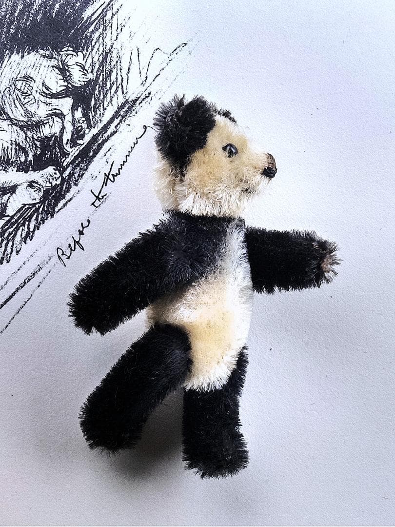 きっとあの子のお友達　ドイツ　こぐま　シュコー　パンダ　 アンティーク　９ｃｍ