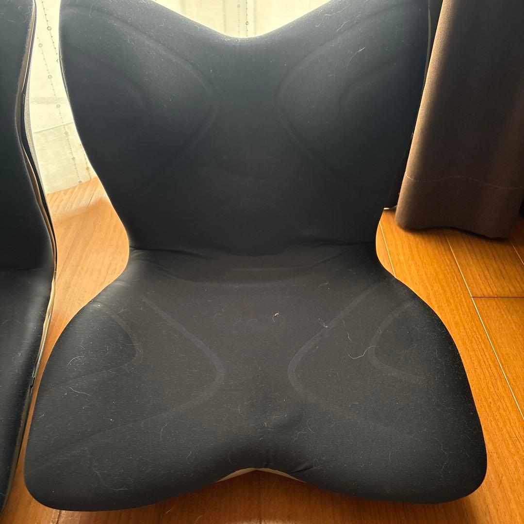 スタイルプレミアム姿勢矯正クッション ブラック 2個セット