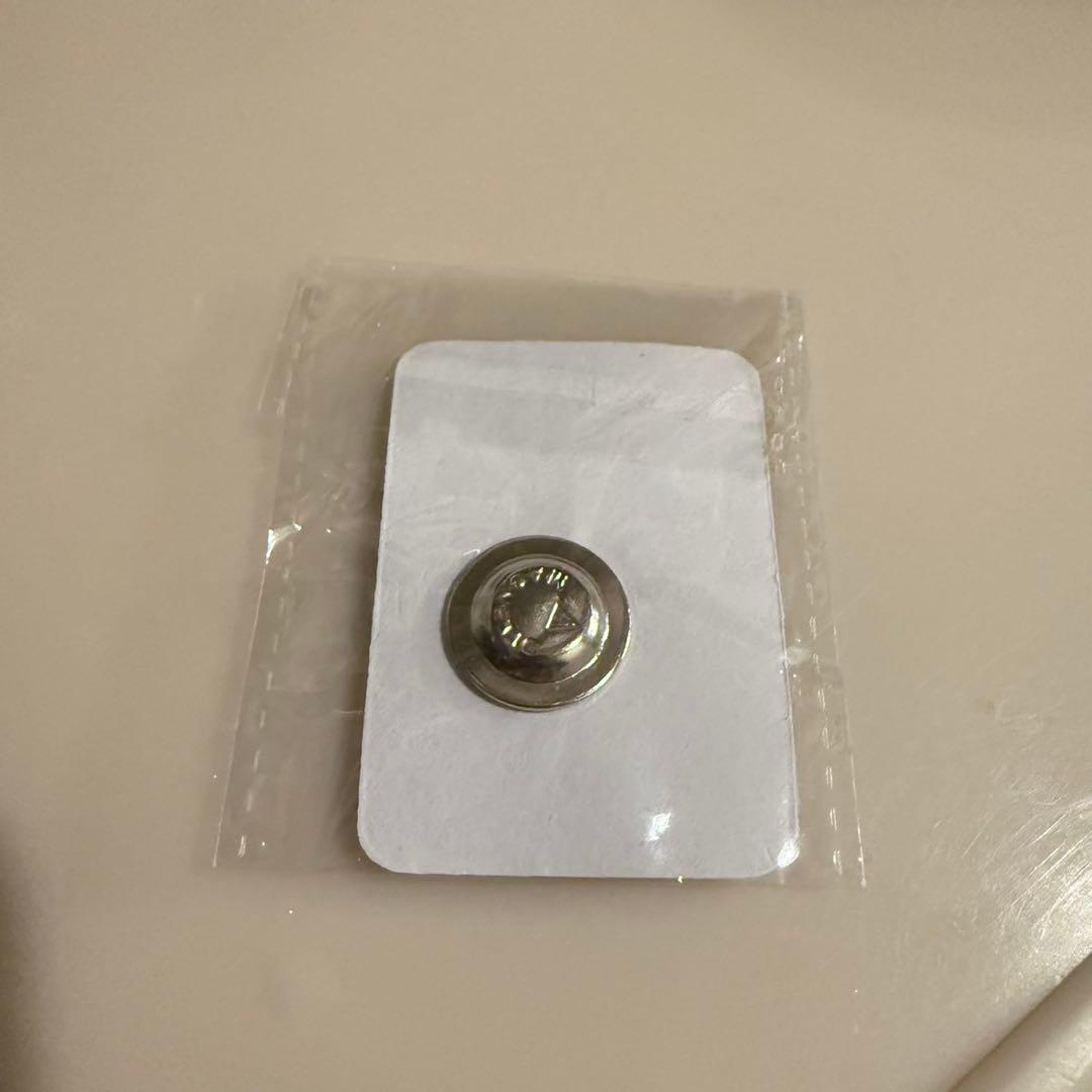 【EXPO 2025 大阪・関西万博】インド館 バーラト ピンバッジ マグネット