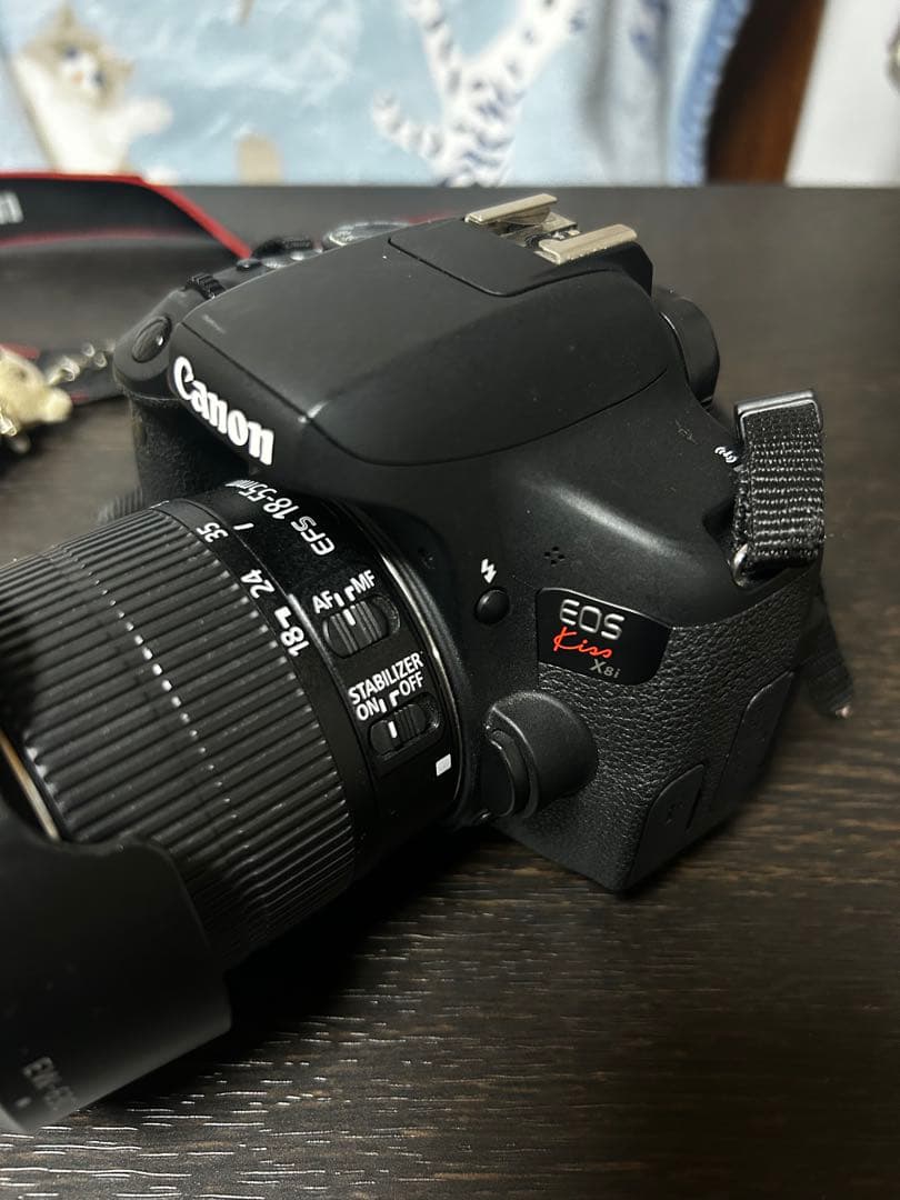 Canon EOS KissX8iEF-S18-55mmレンズショット数9396