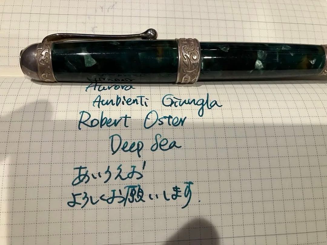 アウロラ　万年筆　ジュングラ　アンビエンテ　EF