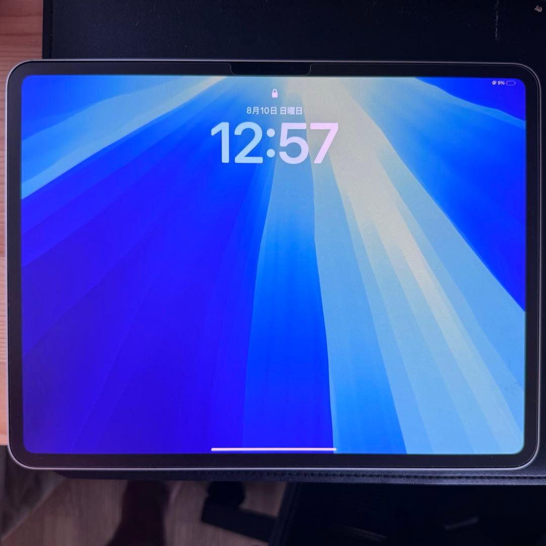 iPad本体 ipad pro m4 13inch 256G Apple pencil pro