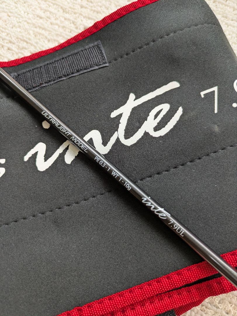 Fishman ビームスインテ 79UL