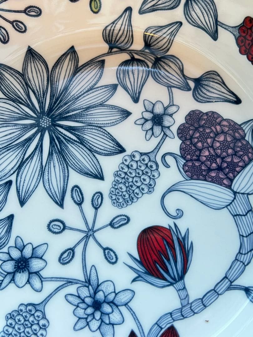 ご予約済【新品】アラビア　ルノ　サマーレイ　ボウル　27cm