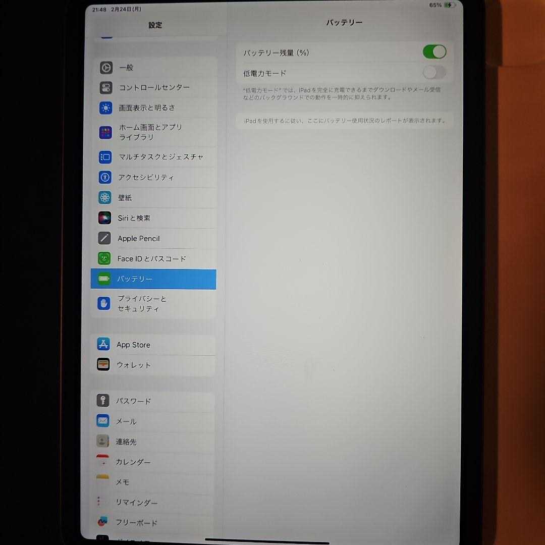 11インチ iPad Pro 第2世代 256GB Wi-Fi+Cellular