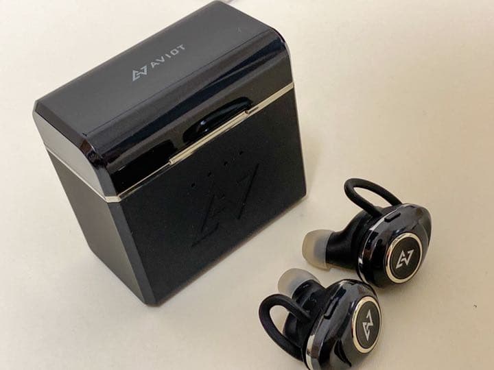 イヤホン AVIOT TE-D01d mk2
