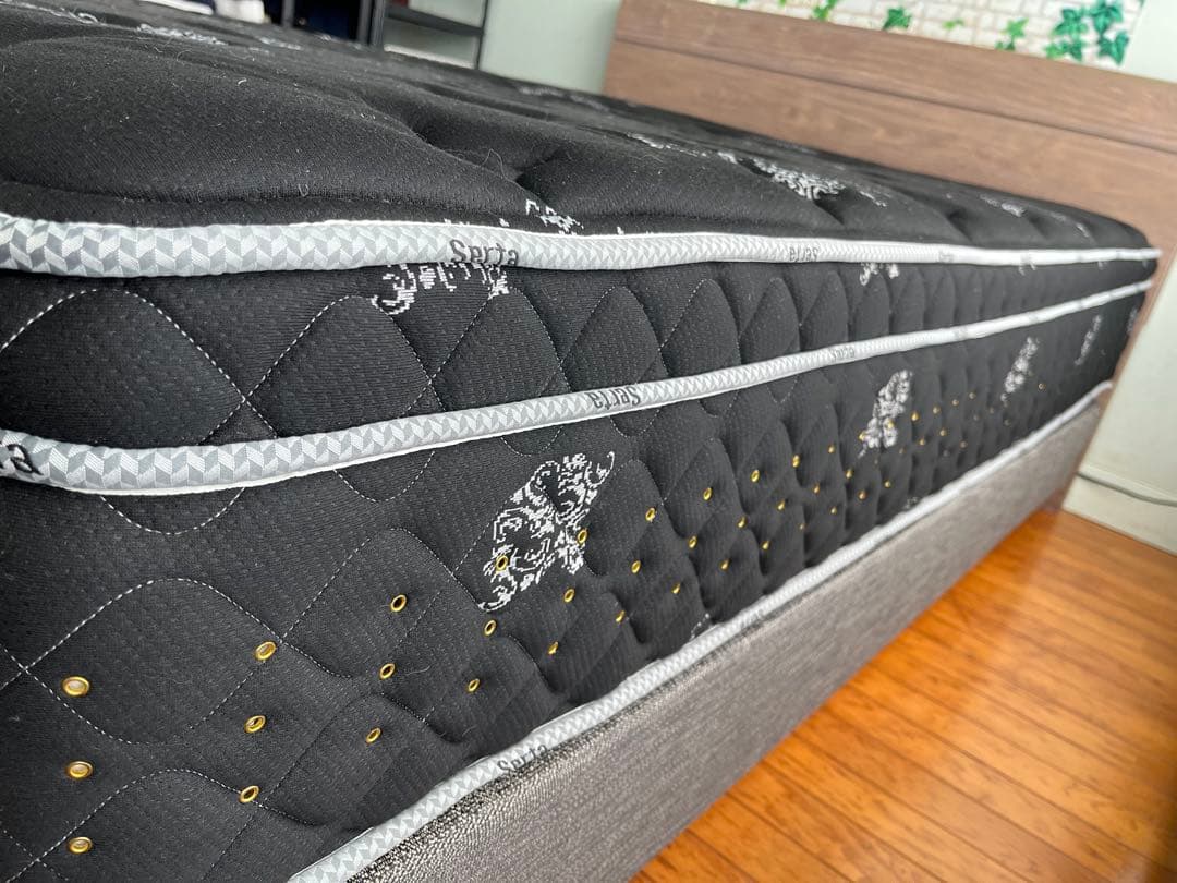 サータ ソフトボッグス　ダブルサイズ　美品