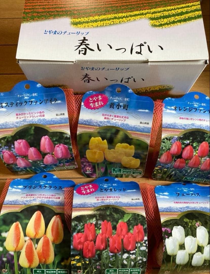 ♡⭐︎美晴⭐︎♡