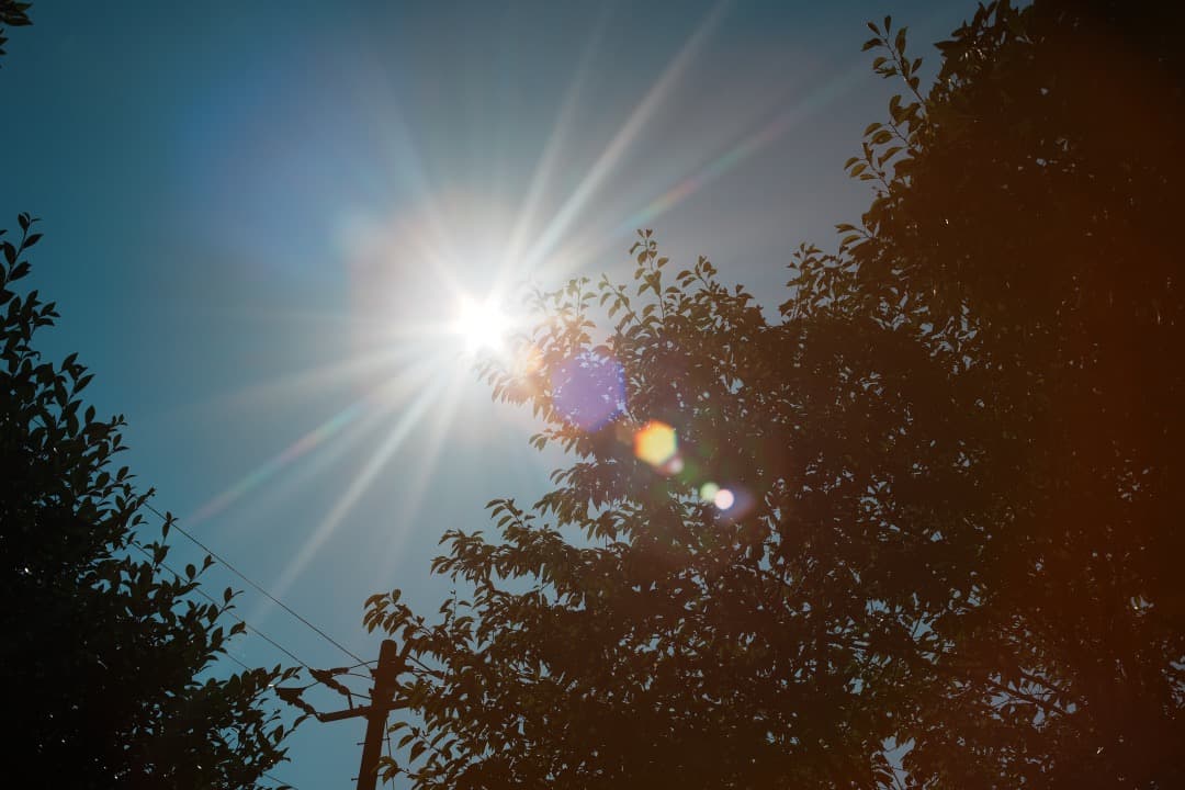 希少8枚玉 ペンタックス Super Takumar 50mm F1.4 430