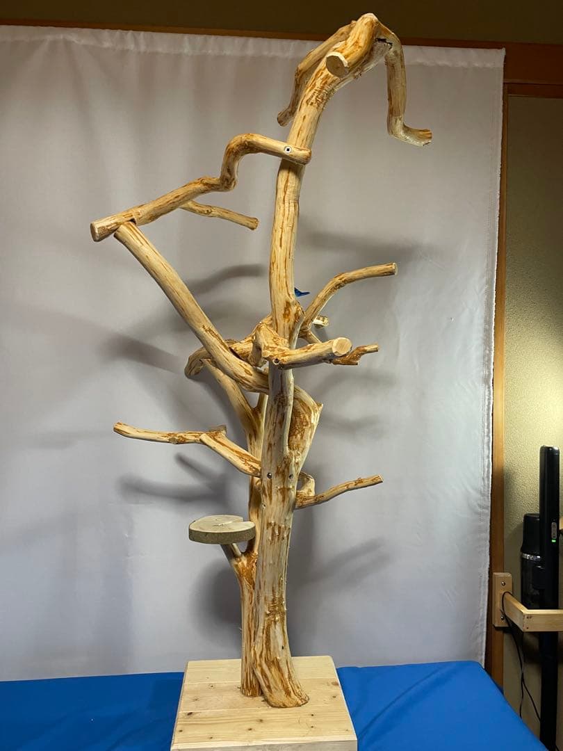 天然木白木バードジム