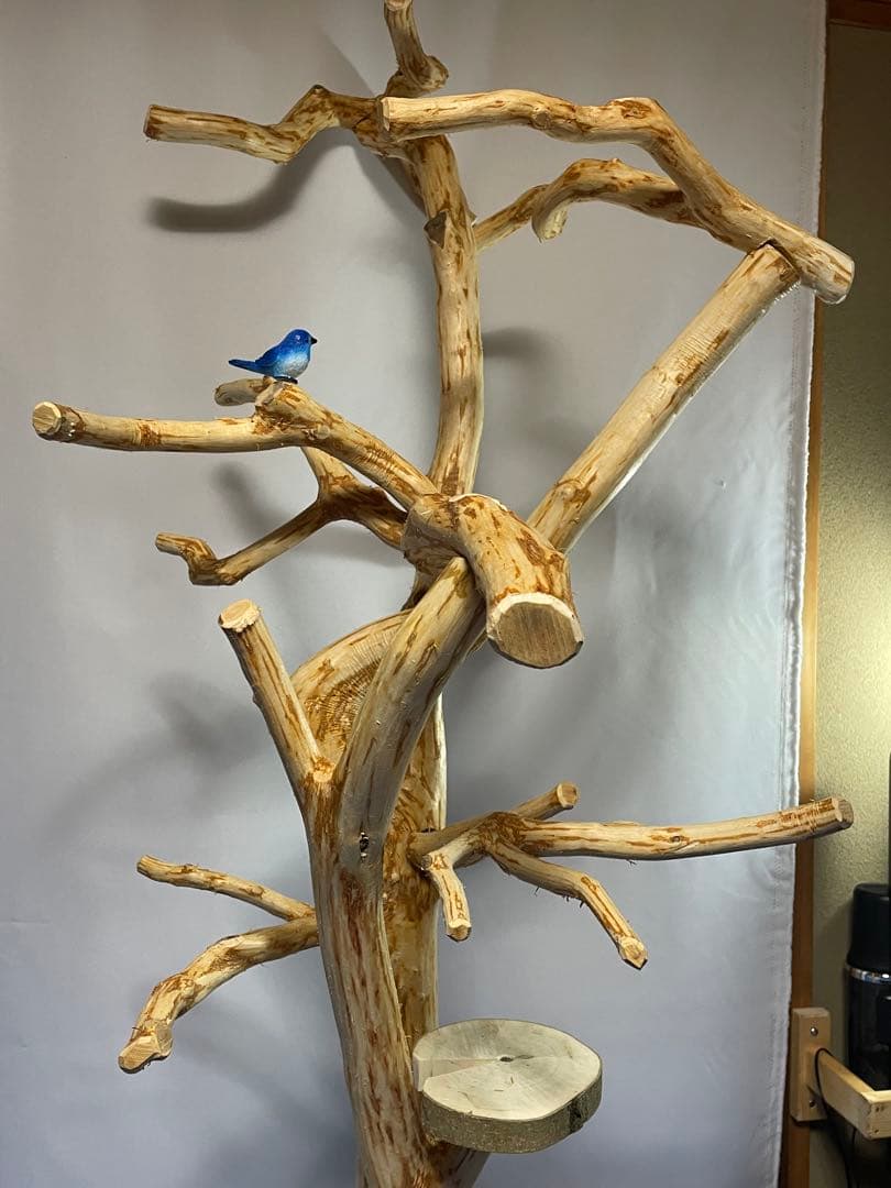 天然木白木バードジム