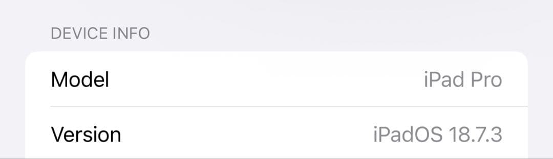 iPad Pro 11インチ　本体 シルバー　Apple Pencil 第2世代