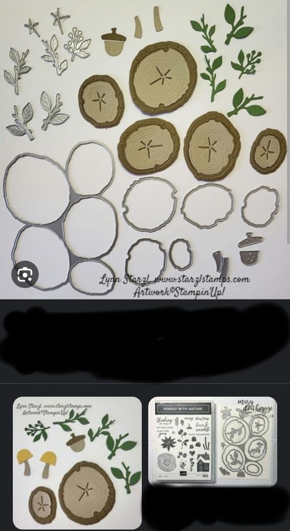 お値下♡未使用　万能な可愛い切株スタンプ＆ダイ＆エンボス　スタンピンアップ