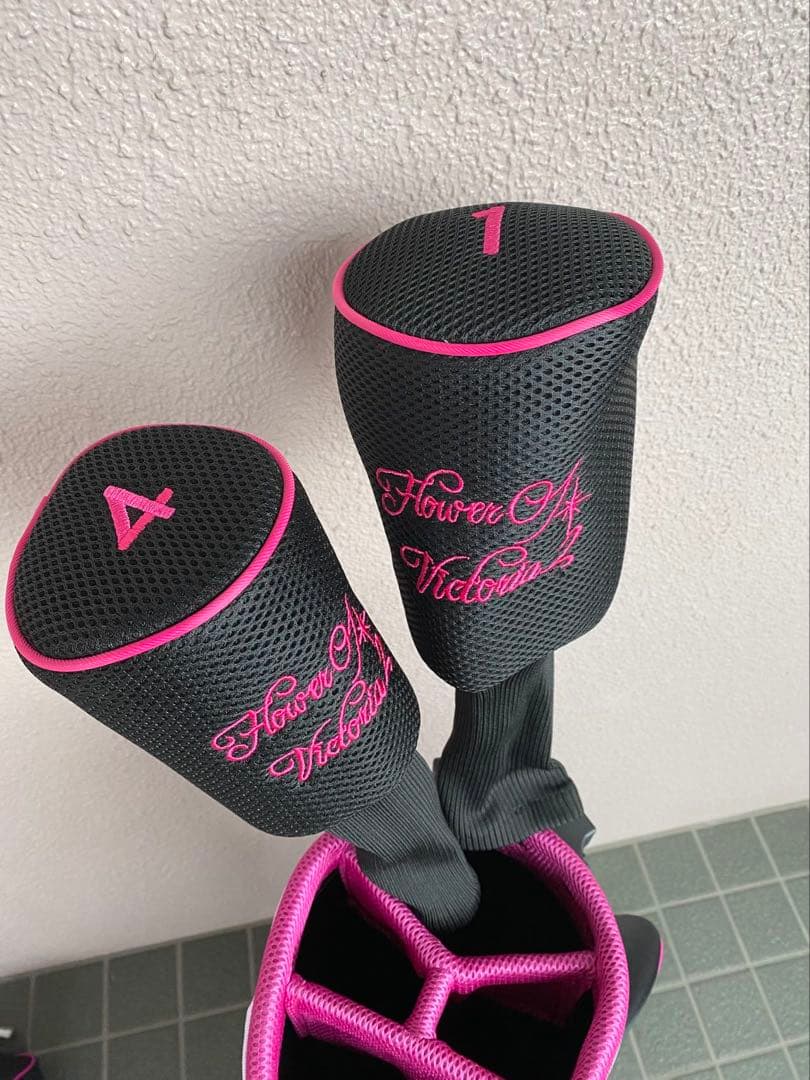 WORLD EAGLE ゴルフクラブセット 10本キャディバックレディース