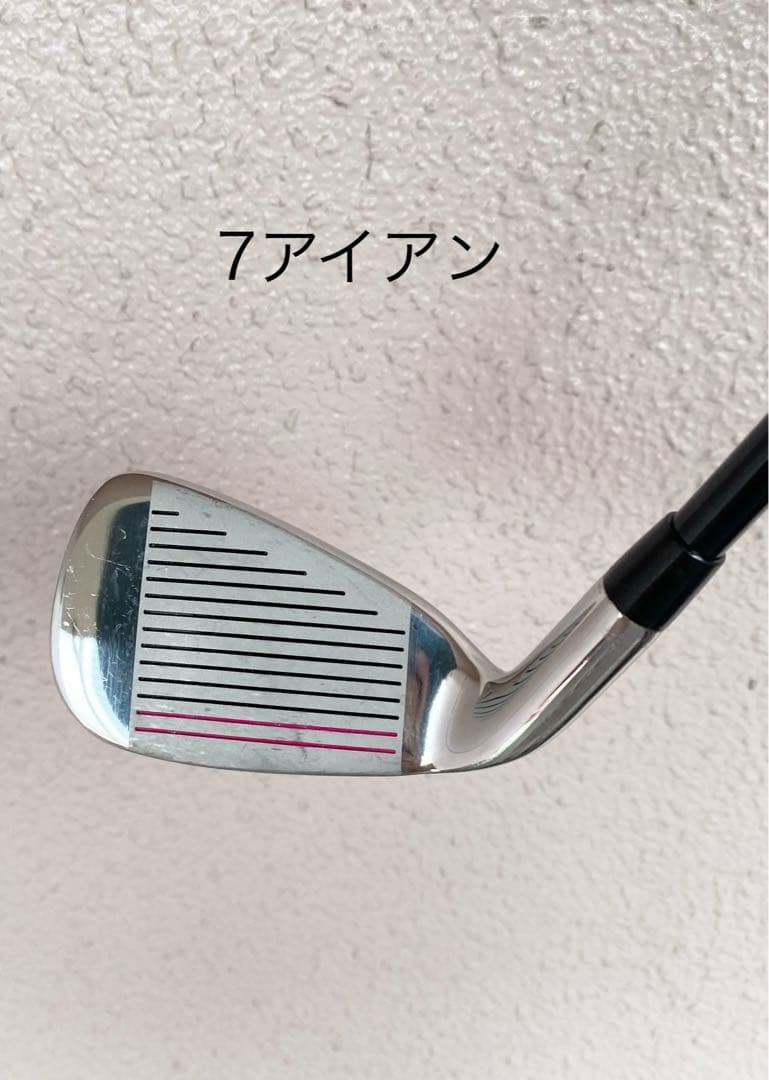 WORLD EAGLE ゴルフクラブセット 10本キャディバックレディース