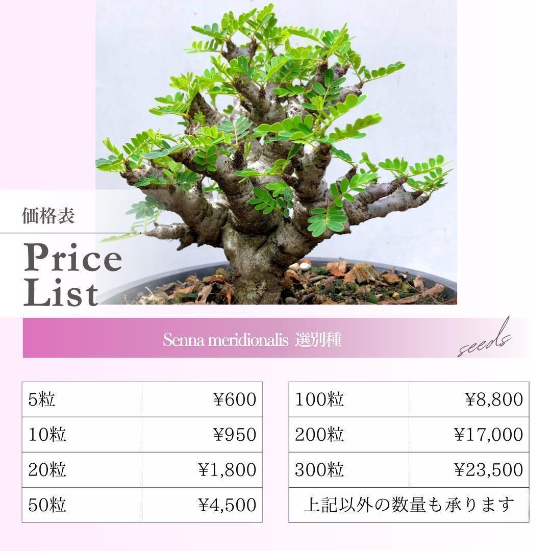 【ht_plants farm】