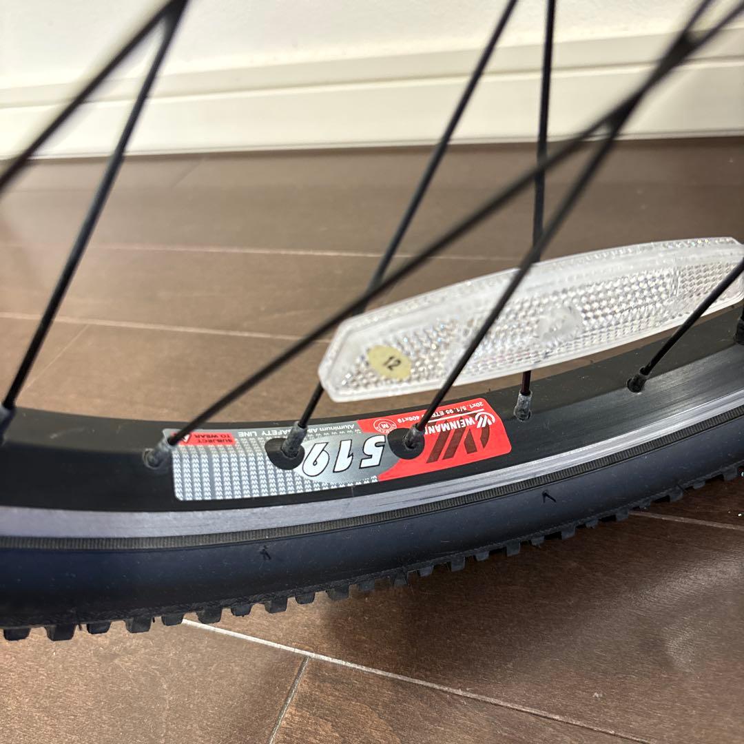 【Ken】キッズ　LOUIS GARNEAU ルイガノ　自転車　20インチ