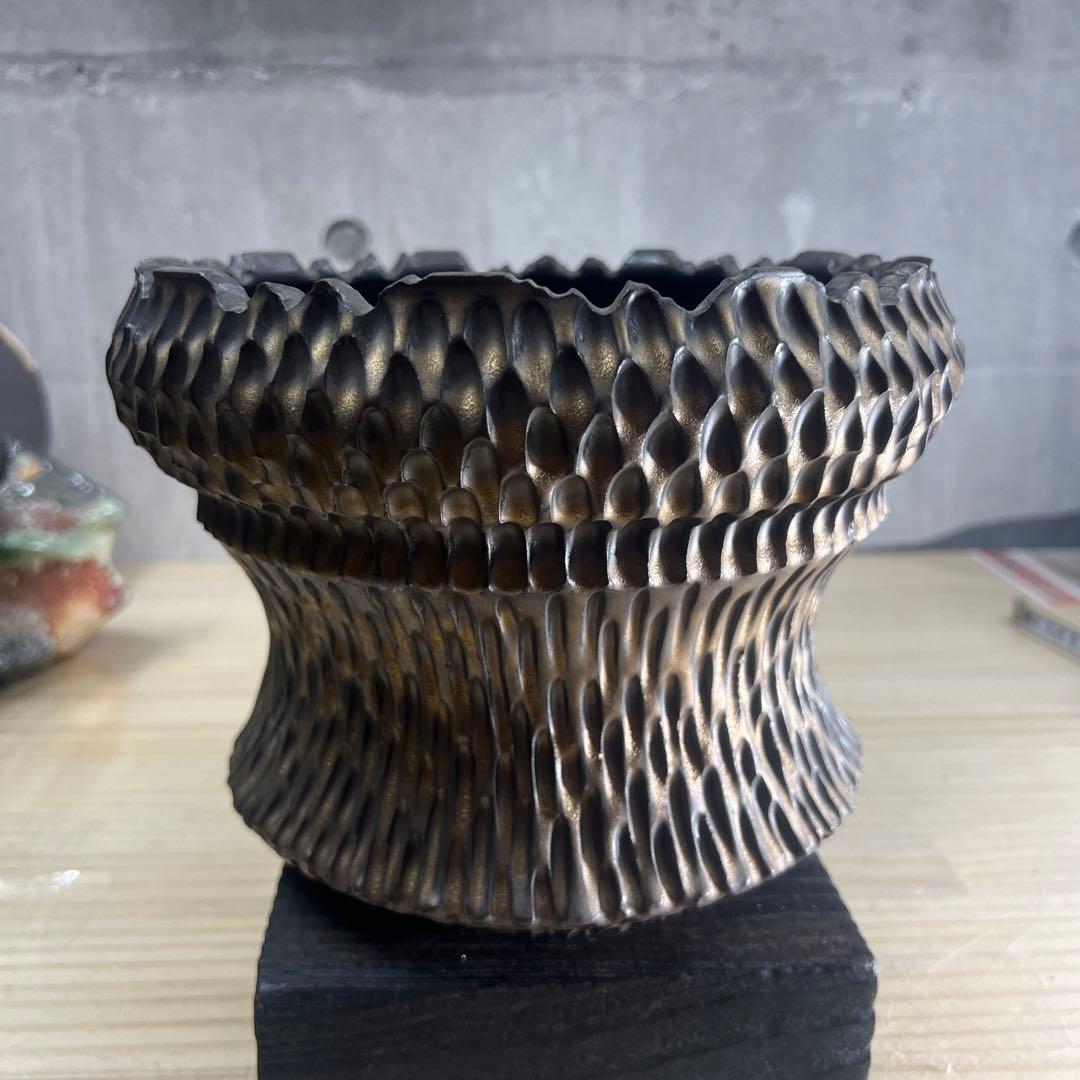 手作植木鉢 LLLサイズ 検（ 塊根植物 グラキリス パキプス アガベ)