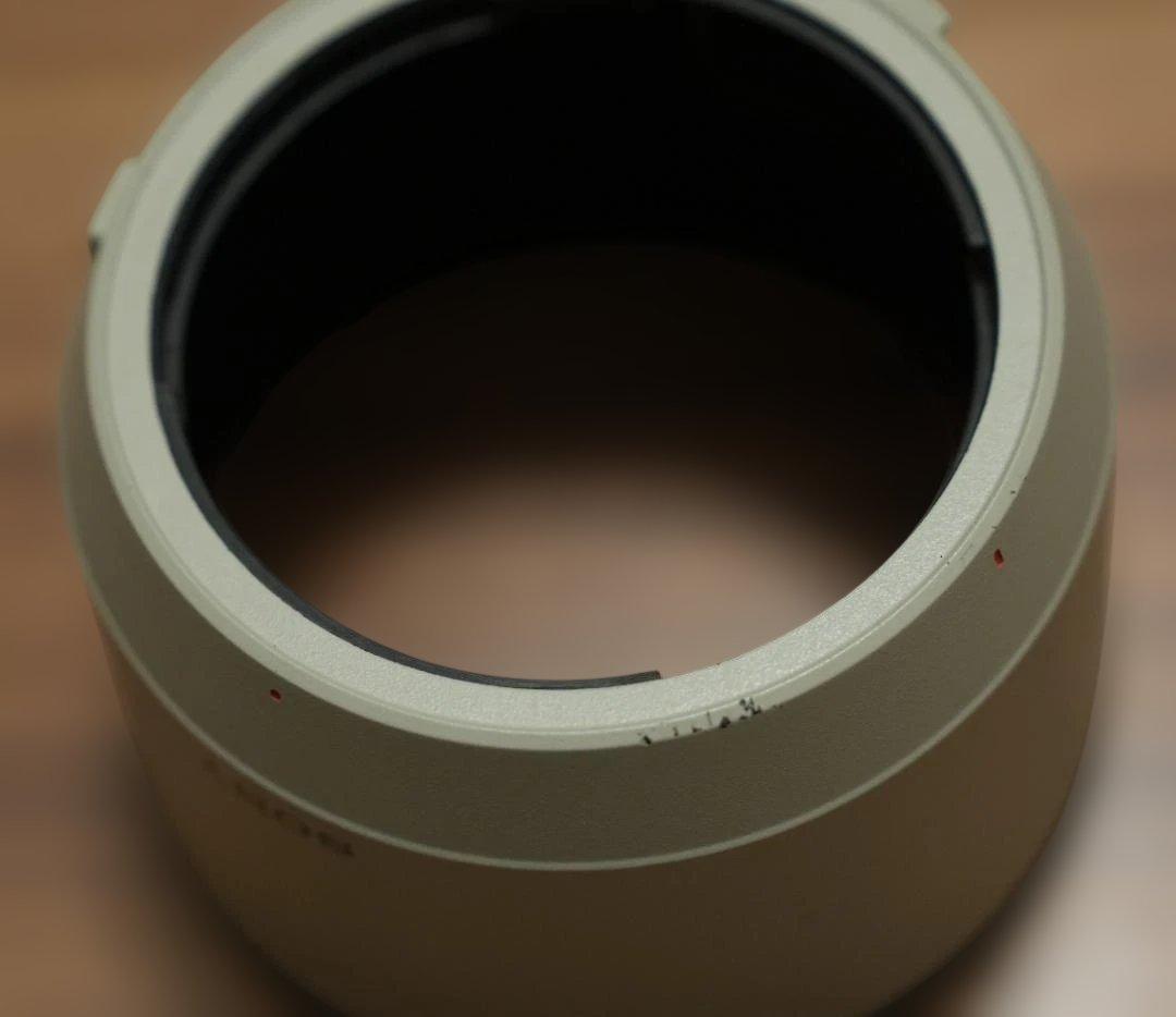 SONY FE 100-400mm F4.5-5.6 GM OSS 望遠レンズ