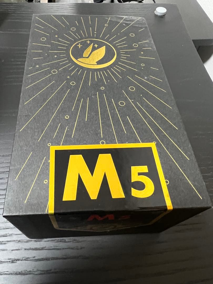 イヤホン Fir Audio M5