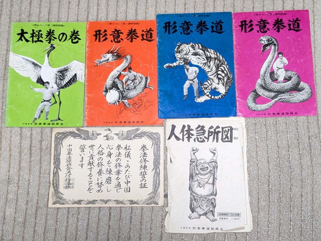 中国拳法大講座　全27冊　形意拳道　4冊　人体急所図