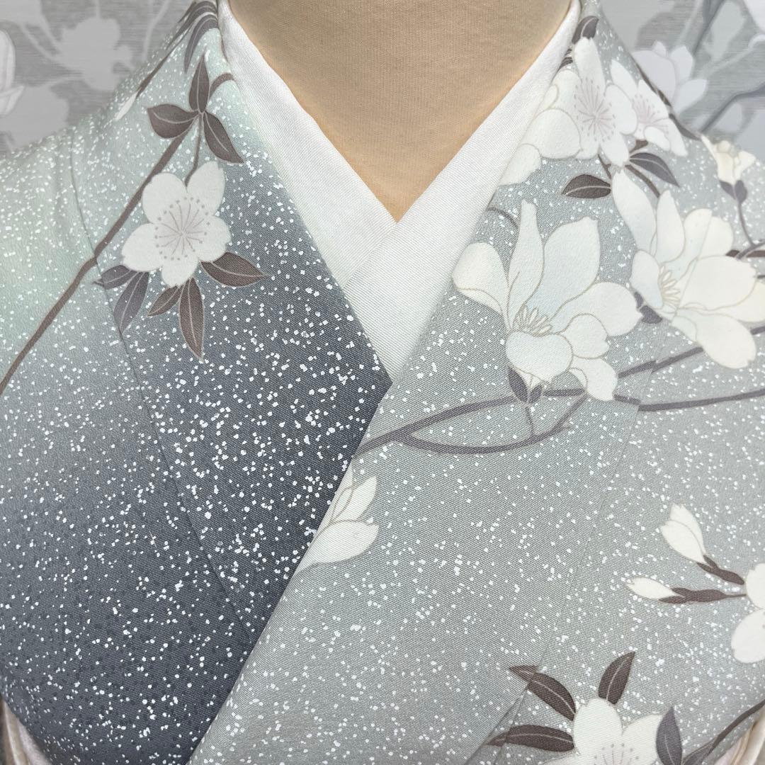 正絹 訪問着 椿桜木蓮 伊と幸 長襦袢おまけ