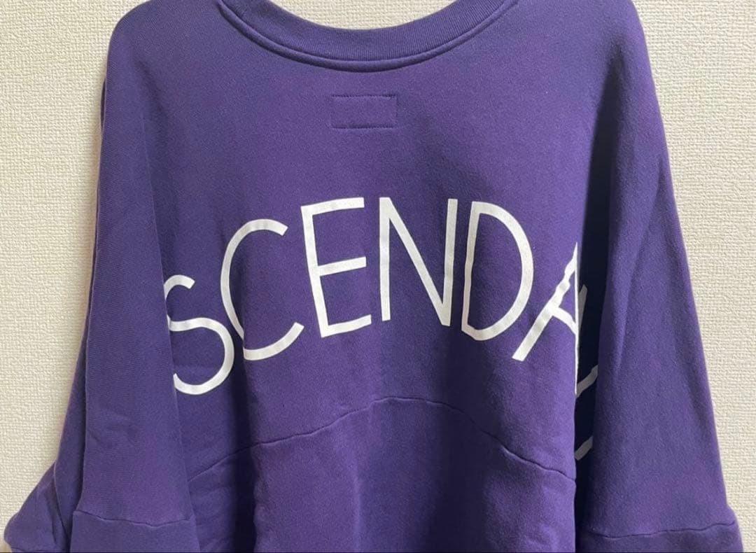 DESCENDANT 川口春奈着用 Paddle Crew Neck