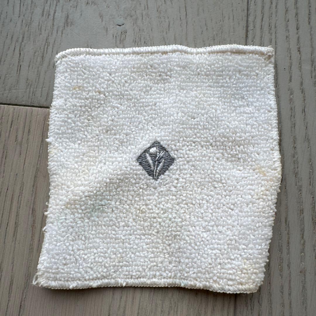 ENVIROn DF Mobile Skincare 美顔器 エンビロ美顔器