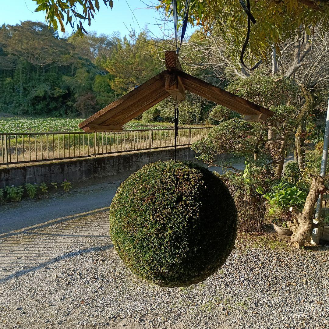 杉玉、屋根付き、杉玉直径38ｃｍ