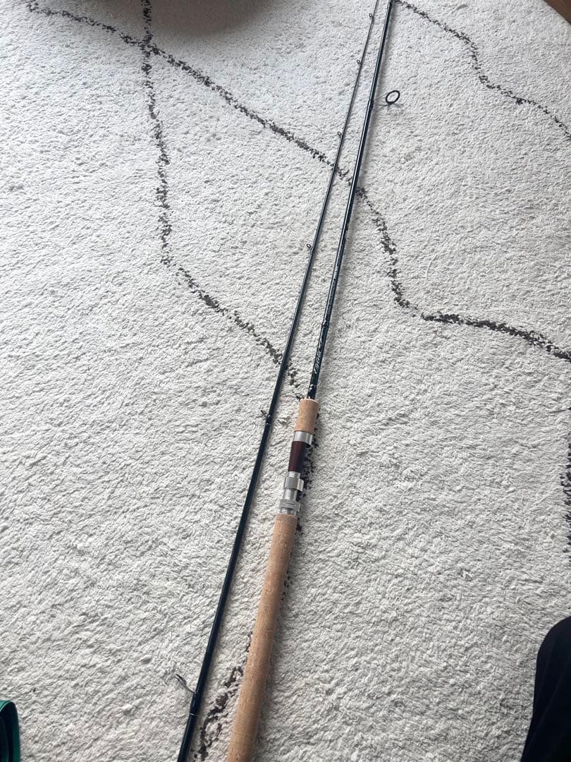 PALMS Egeria ETNS-86H スピニングロッド