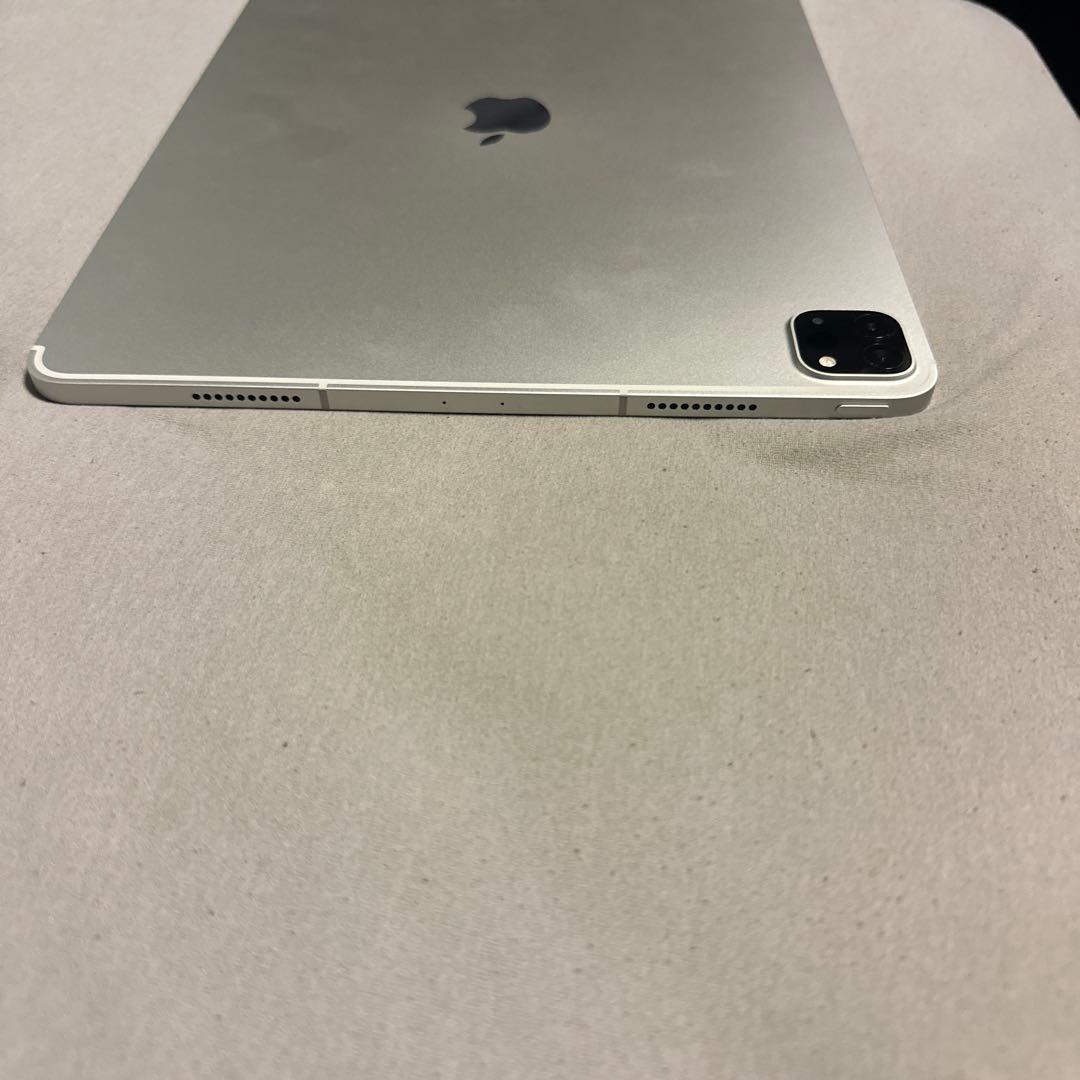 専用 iPad Pro 12.9 第6世代 Wi-Fi+Cellular 2TB