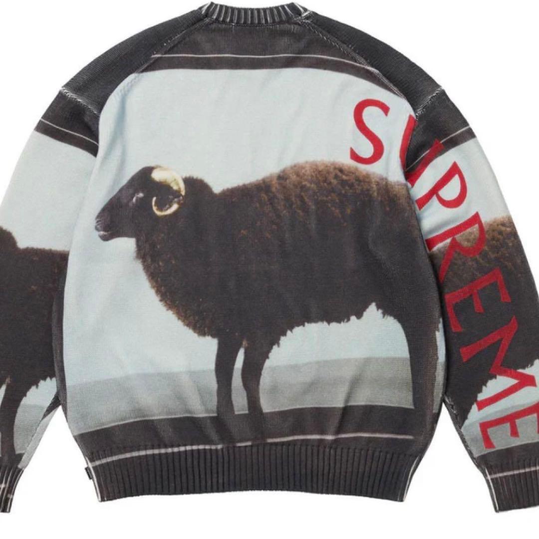 Supreme Damien Hirst sweater サイズ L