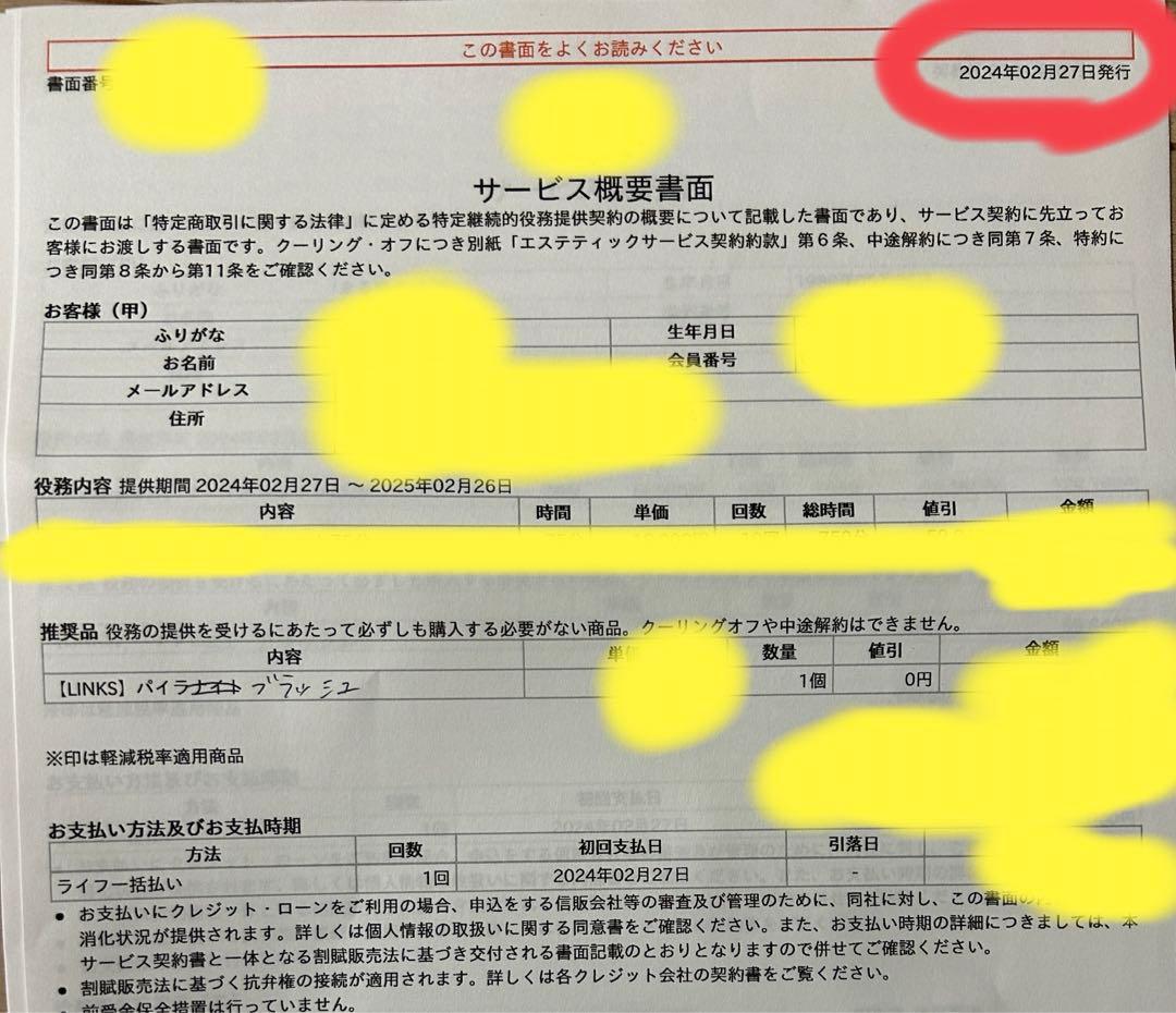 【新品未使用】PYR-BRUSH(パイラブラッシュ)パイラブラッシュセラム付