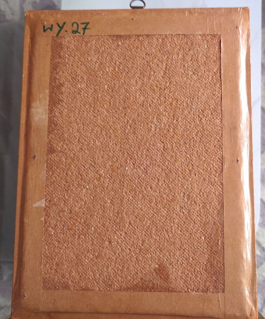 シンガポール製の虫の標本