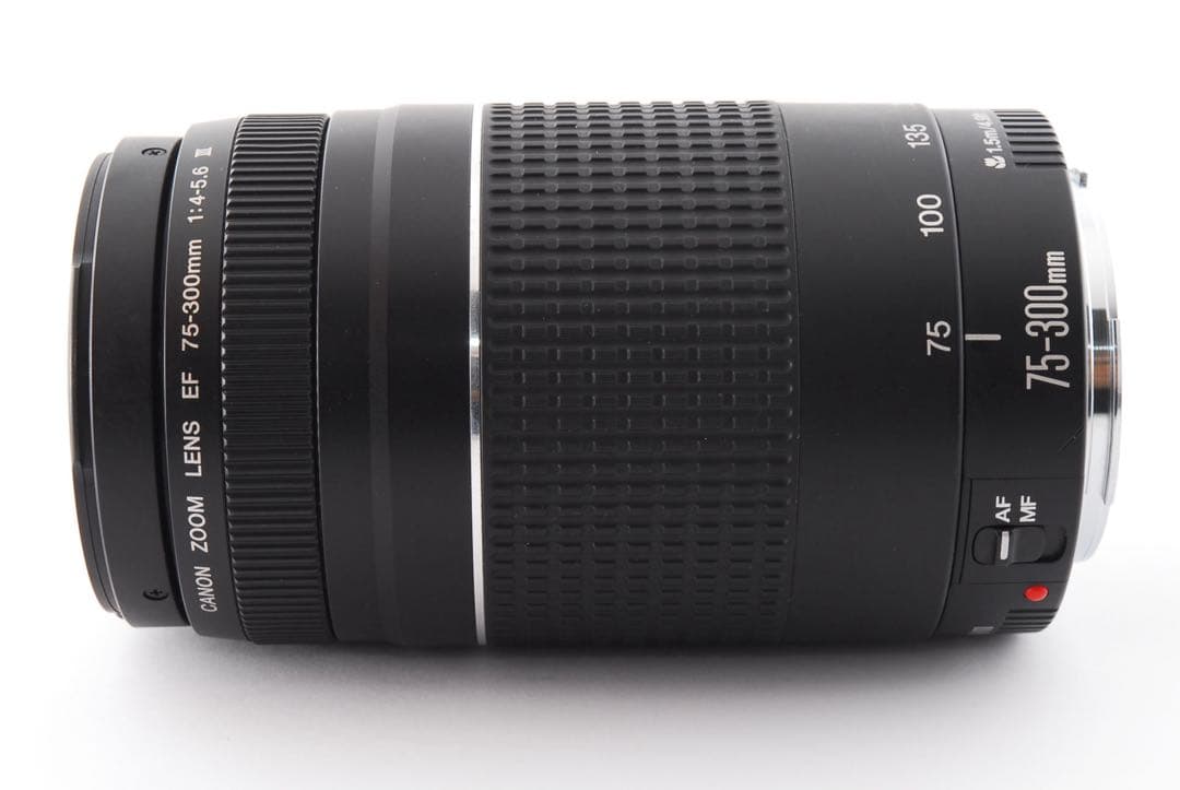 デジタル一眼レフカメラ　望遠レンズ　CANON EF 75-300mm