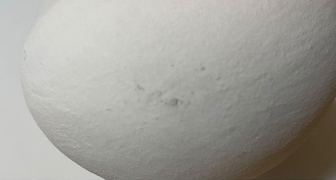 ムーミン博多人形 ムーミンとスノークのお嬢様値下げ交渉可