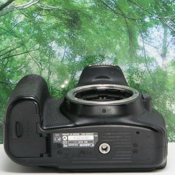 ❤動画も自撮り出来るCanon EOS 60D☆スマホ転送OK♪付属品多数❤