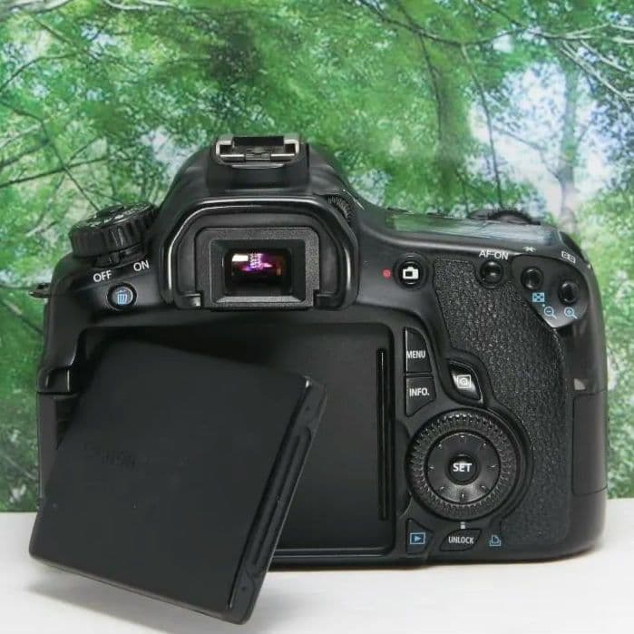 ❤動画も自撮り出来るCanon EOS 60D☆スマホ転送OK♪付属品多数❤