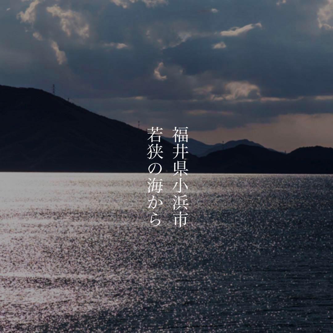 【エグゼイド】高級夫婦箸　若狭塗り　『貝時雨　赤•黒』セット売り